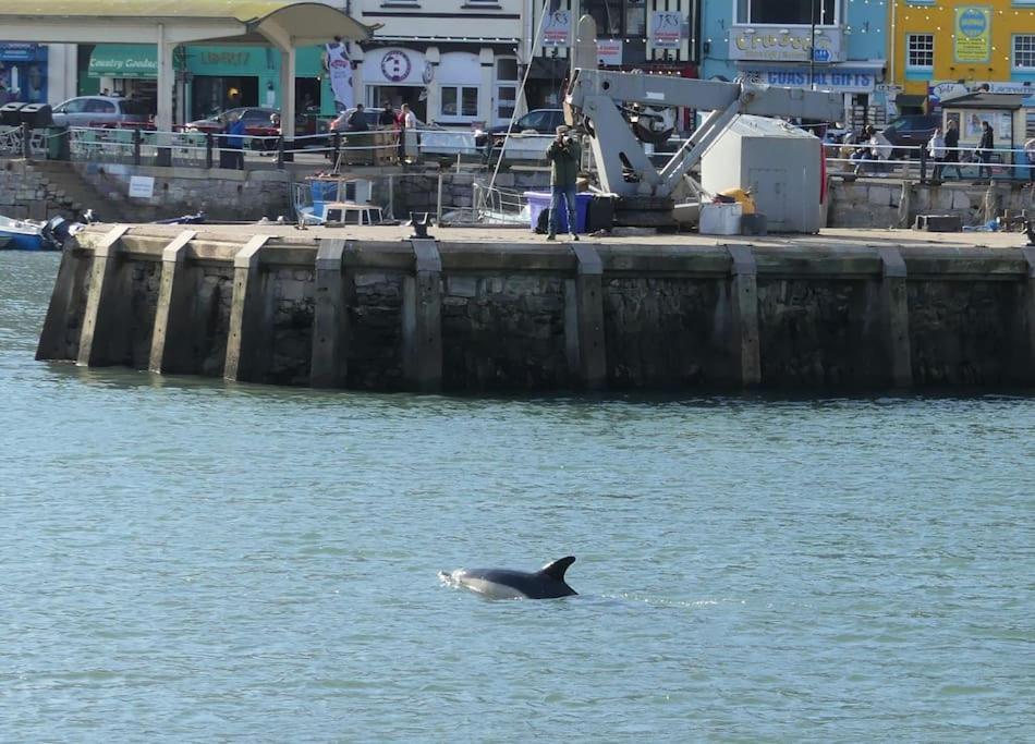 Stunning Penthouse Views To Harbour With Parking. Apartman Brixham Kültér fotó